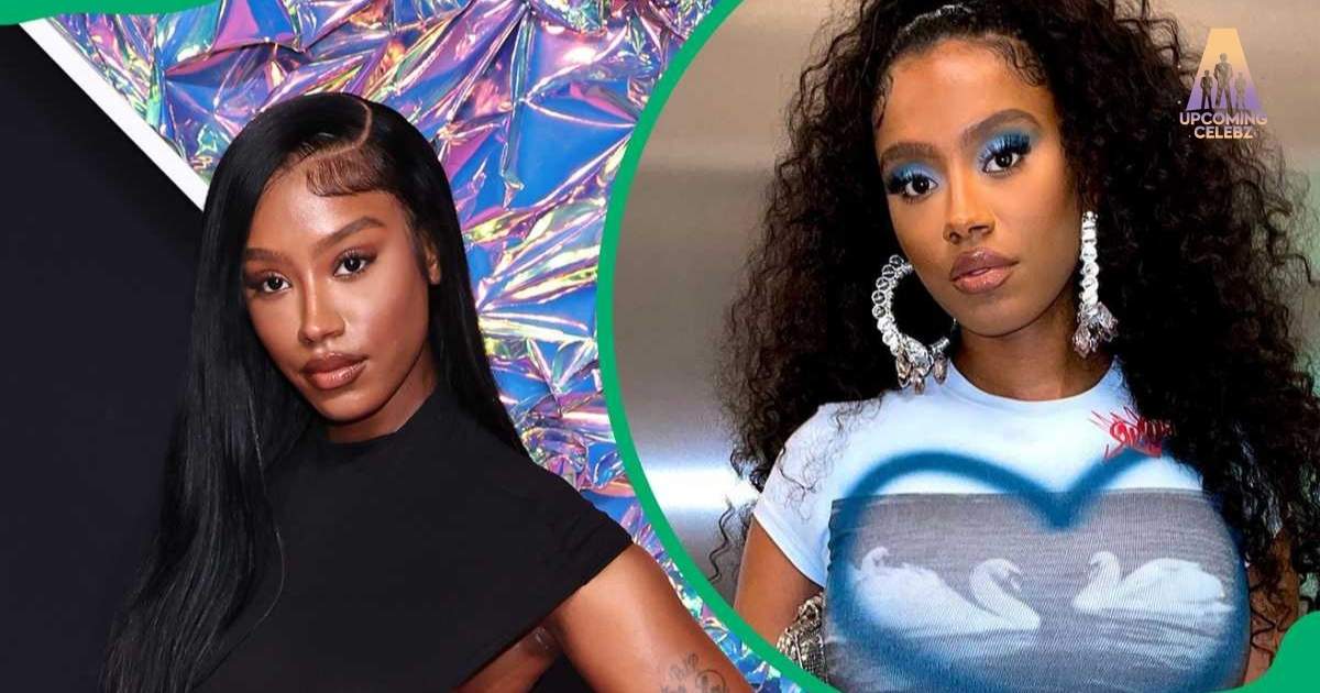 Raven Tracy